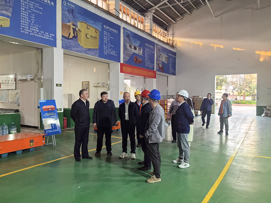 新疆有色郭总一行莅临湖南晟科赛斯新能源有限公司参观指导​